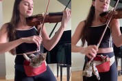 고양이를 업고 연주하는 바이올리스트 '둘 다 포기 못해'