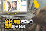 훔친 개를 인터넷에 인증하고 박수받은 남성