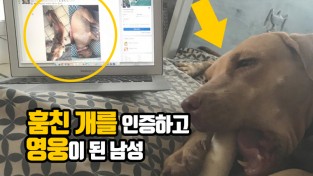 훔친 개를 인터넷에 인증하고 박수받은 남성