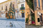 '크리스마스 집콕 캠페인'을 적극 지지하는 길고양이들