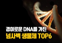 경이로운 DNA를	 가진 동물들 Top6 (영상)