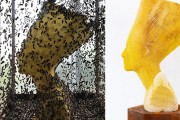 꿀벌이 만든 '이집트 여왕' 모양 벌집의 의미와 가격