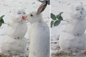 올라프의 '당근 코'를 훔쳐 먹는 귀여운 토끼