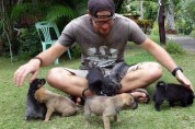 태국 외딴섬에 놀러 간 관광객, 떠돌이 개들을 위해 정착