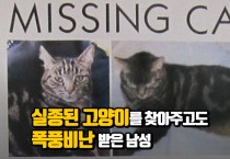 실종된 고양이를 찾아주고도 욕 먹은 남성 (영상)
