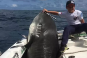 낚시하던 8살 소년, '314kg의 상어'를 잡아 세계 기록 경신