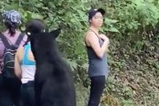 콩닥콩닥! 산에서 곰을 만난 아찔한 순간