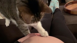 '동생아 진정해' 발길질하는 아기를 진정시키는 고양이
