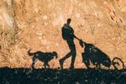 '미국에서 몽골까지' 반려견과 전 세계를 산책 중인 남성