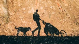 '미국에서 몽골까지' 반려견과 전 세계를 산책 중인 남성