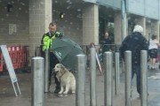 개에게 우산을 양보한 경비원