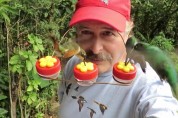 전 세계 벌새 애호가들의 기발한 피딩 방법