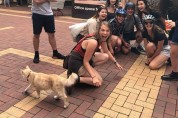 뉴질랜드에서 '이 고양이'를 만나는 건 영광!
