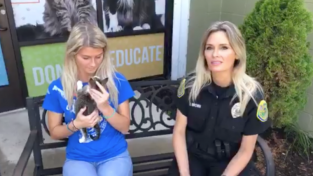 주차비로 '고양이 사료' 받는 경찰들