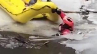 얼음 강물에 뛰어든 미국 경찰들 '강아지를 구하려고'