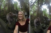 원숭이의 매력에 빠진 사람들과 10장의 사진