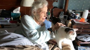 101세 할머니가 19살 노령묘를 입양한 이유