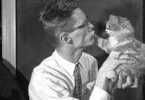 왠지 가슴이 뭉클해지는 1900년대 고양이 사진들