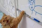 '아 지우라고' 못생긴 초상화에 열받은 고양이