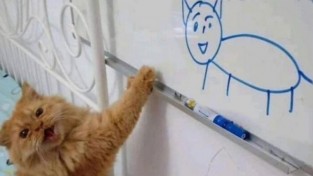 '아 지우라고' 못생긴 초상화에 열받은 고양이
