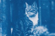 120년 전 소녀의 보물 상자 속, 고양이 사진
