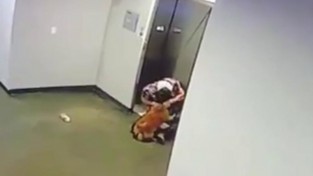 죽을 뻔한 강아지를 필사적으로 구한 남성의 CCTV 영상